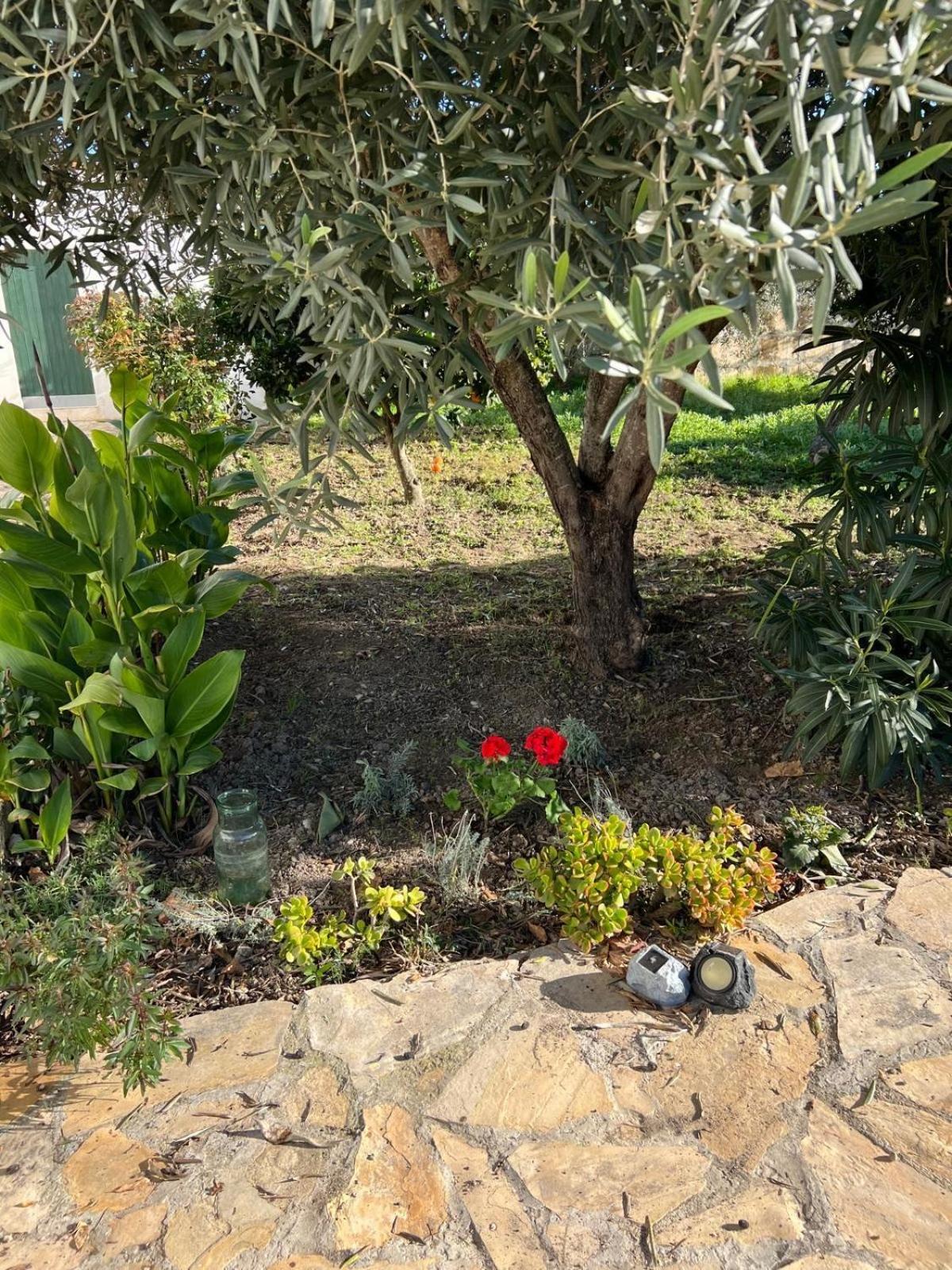 Es Puig Villa Santa Margalida Exterior photo